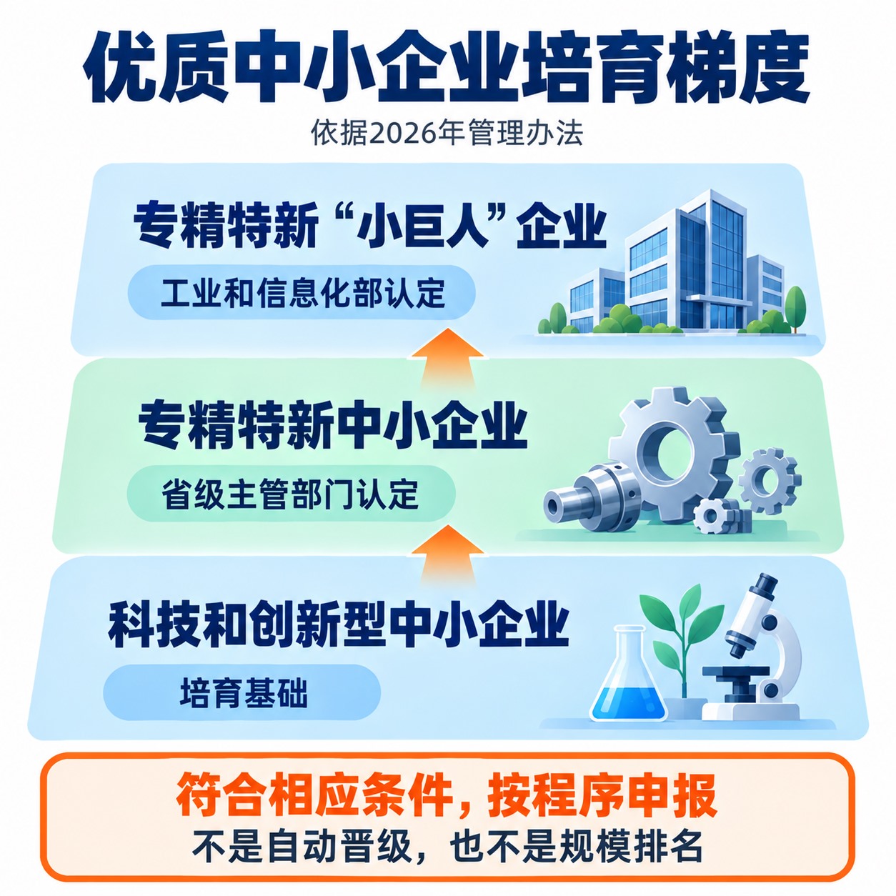 科技和创新型中小企业、专精特新中小企业与专精特新小巨人的培育梯度