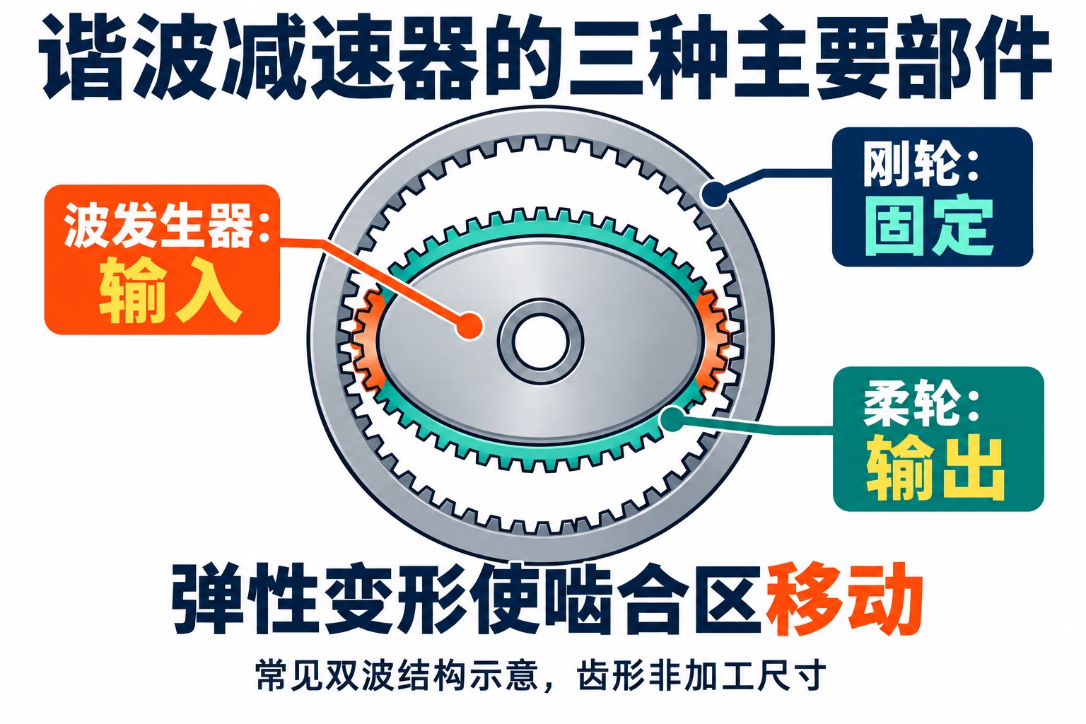 常见椭圆双波谐波减速器的波发生器、柔轮、刚轮及长轴两侧啮合区示意
